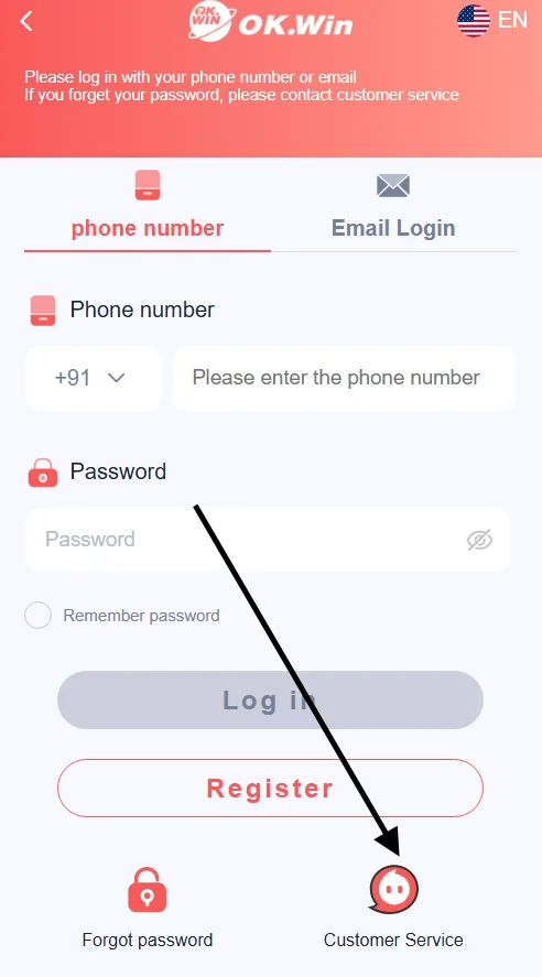  Click the customer service option