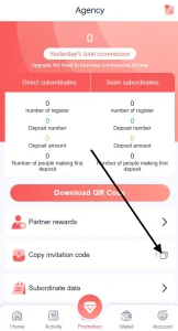 Copy invitation code