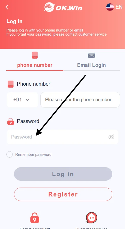 fill in the password in okwin